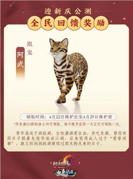 泡点999天龙八部私服